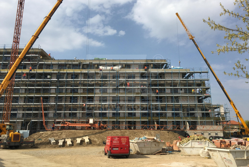 PARK ANIČKA  PARK ANIČKA